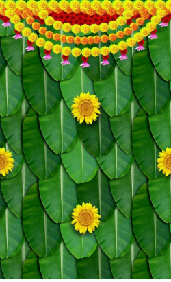 3D Print Mandap Parda - 8 FT x 12 FT - Printed Taiwan - Multi Color