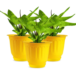 Gardens Need  Jasmine Flower Pot With Bottom Tray - 8 Inch - Made Of Virgin Plastic