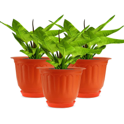 Gardens Need  Jasmine Flower Pot With Bottom Tray - 10 Inch - Made Of Virgin Plastic