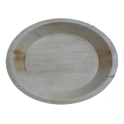Disposable Dinner Plate - 8 inch - Areca Leaf Plates