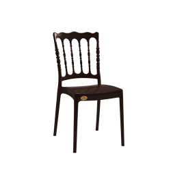 National Leon Chair - Made Of Plastic - Black Color