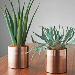 Table Top Planters - 10 CM - Made Of Iron & Metal (Rose Gold Plated )