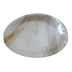 Disposable Dinner Plate - 10 inch - Areca Leaf Plates