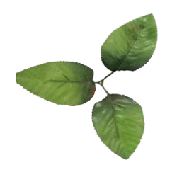 Artificial Decorative  Green Leaf - 3 IN 1 - Made Of Fabric