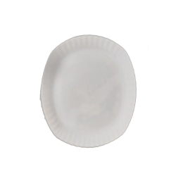 Square Quarter Plates - Made Of Plastic