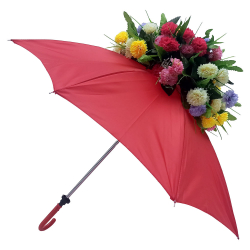 Colorful Umbrella - 18 Inch - Red Color