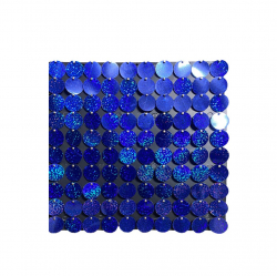 Round Sitara Panel - 1 FT X 1 FT - Made Of Plastic Sheet