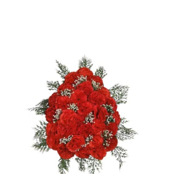 Artificial carnation Flower Bouquet - Red Colour
